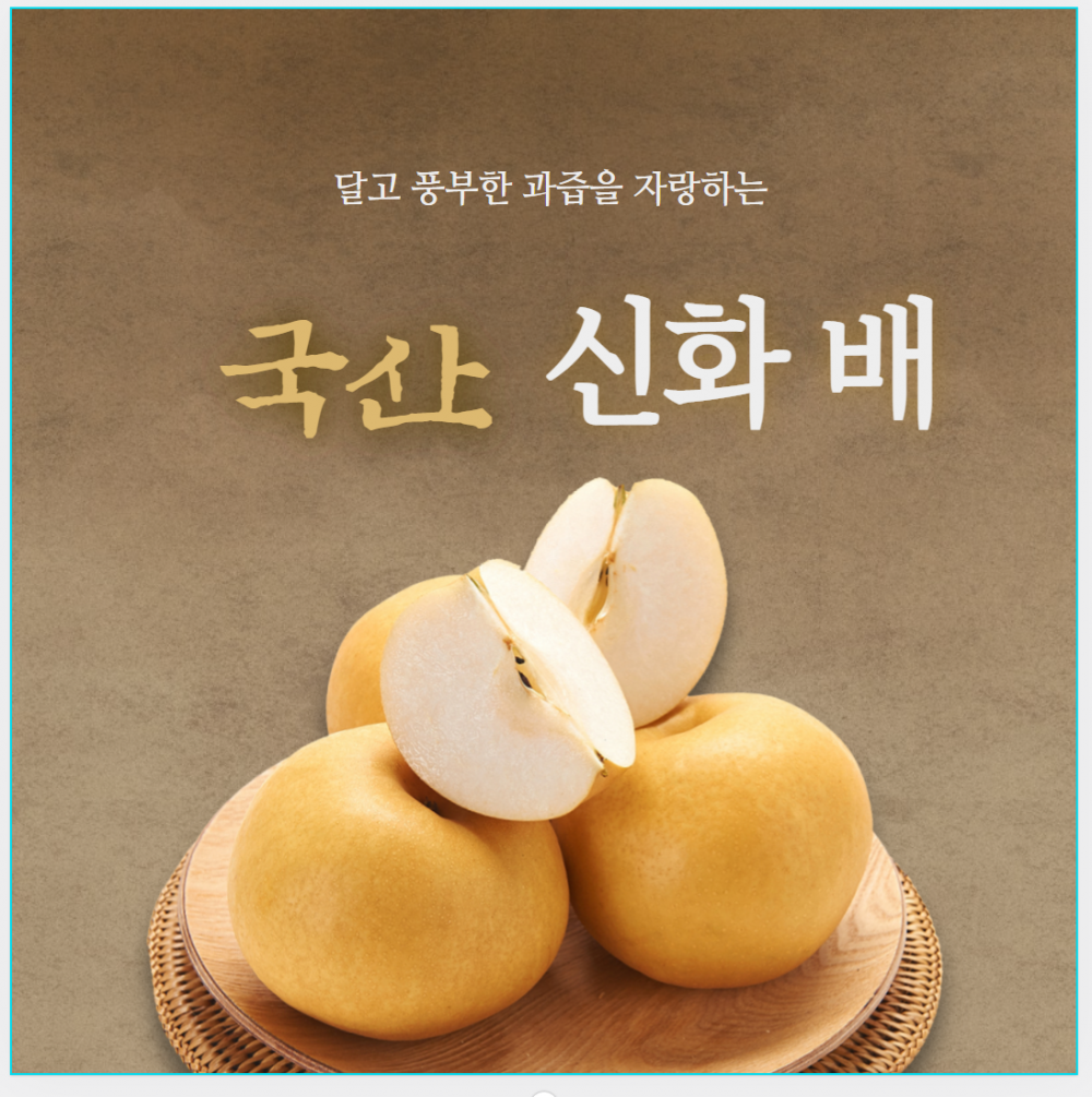 신화배