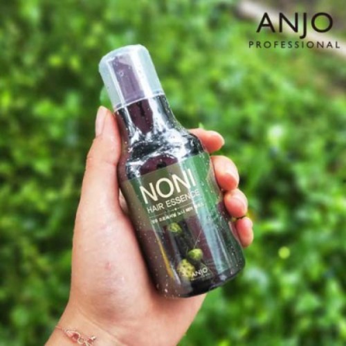 ANJU 노니 헤어에센스 120ml 2개 + 랜덤사은품 세트